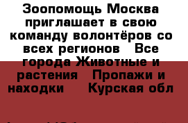 Зоопомощь.Москва приглашает в свою команду волонтёров со всех регионов - Все города Животные и растения » Пропажи и находки   . Курская обл.